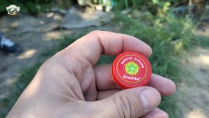 Вьетнамская звёздочка + червь| Это реально работает, клёв 120%| Рыбалка на поплавок в запрет|