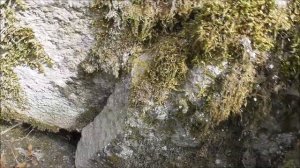 Восхождение на гору Развалка по осыпи каменной реки