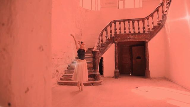 The Swan (Saint-Saëns) Carnival of the Animals смотреть онлайн