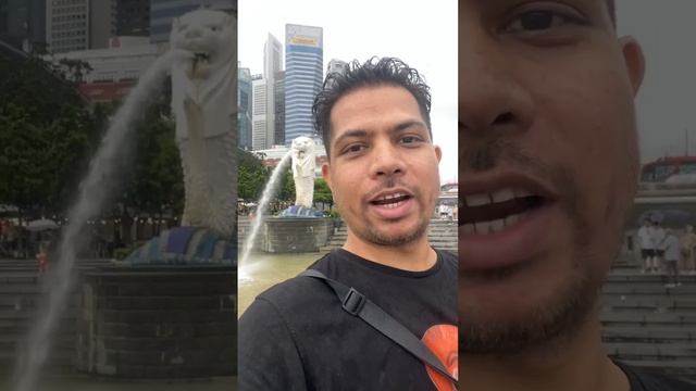 Marina Bay Sands Merlion #travelling  #singapore  #Travel