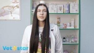 Собака заболела. Что делать