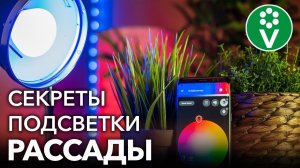 ВОТ ПОЧЕМУ ВАМ НЕ НУЖНЫ ФИТОЛАМПЫ ДЛЯ ДОСВЕЧИВАНИЯ РАССАДЫ! Эффективно и дешево подсвечиваем рассаду