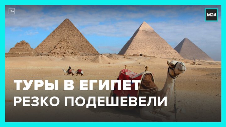 Туры в египет подешевели. Саранчи пришли в город Египет фильм Египет. Погода в Египте.