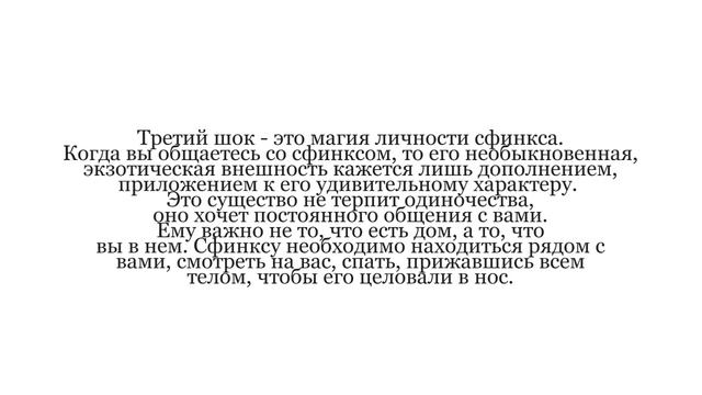 Порода кошек Сфинкс интересные факты смотреть онлайн