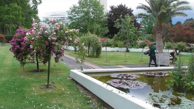 Восточный и другие сады Вестфаленпарка смотреть онлайн