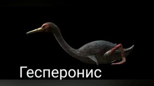 Все морские монстры из сериала прогулки с морскими чудовищами