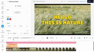 Veed Tutorial for Beginners (2023) | How To Use Veed.io