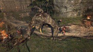 Игры похожие на Dark Souls для пк