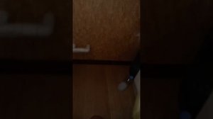 Что произошло во время отжима Samsung Bio Compact смотрим сегодня в 8:05