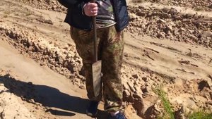 Как посадить дерево ? Открытая корневая система / Меч Колесова #shorts