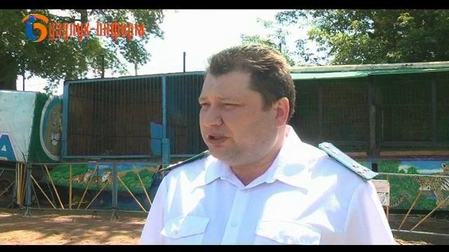 Делом занялась прокуратура