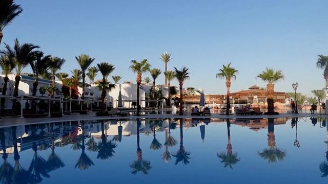 Атмосферный отель Sultan Gardens Resort 5* Египет зимой (Безветренная бухта)