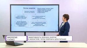 Биология. 9 класс. Эффективность переноса энергии в экосистеме. Поток энергии и цепи питания