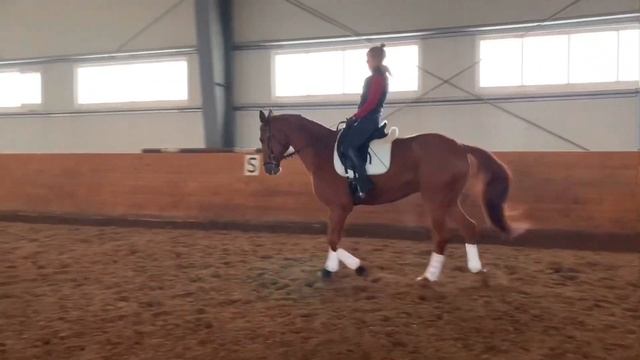 РАБОТА ПАЛЬЦЕВ ПРИ СБОРЕ ЛОШАДИ смотреть онлайн