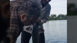 Рыбалка в рыболовном клубе "Золотой Сазан" Варварино