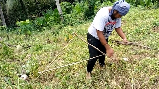 CONTOUR LINE LAYOUTING USING A-FRAME | Permaculture and Sloping Agricultural Land Technology, SALT смотреть онлайн
