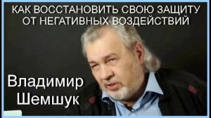 КАК ВОССТАНОВИТЬ СВОЮ ЗАЩИТУ ОТ НЕГАТИВНЫХ ВОЗДЕЙСТВИЙ. Владимир Шемшук