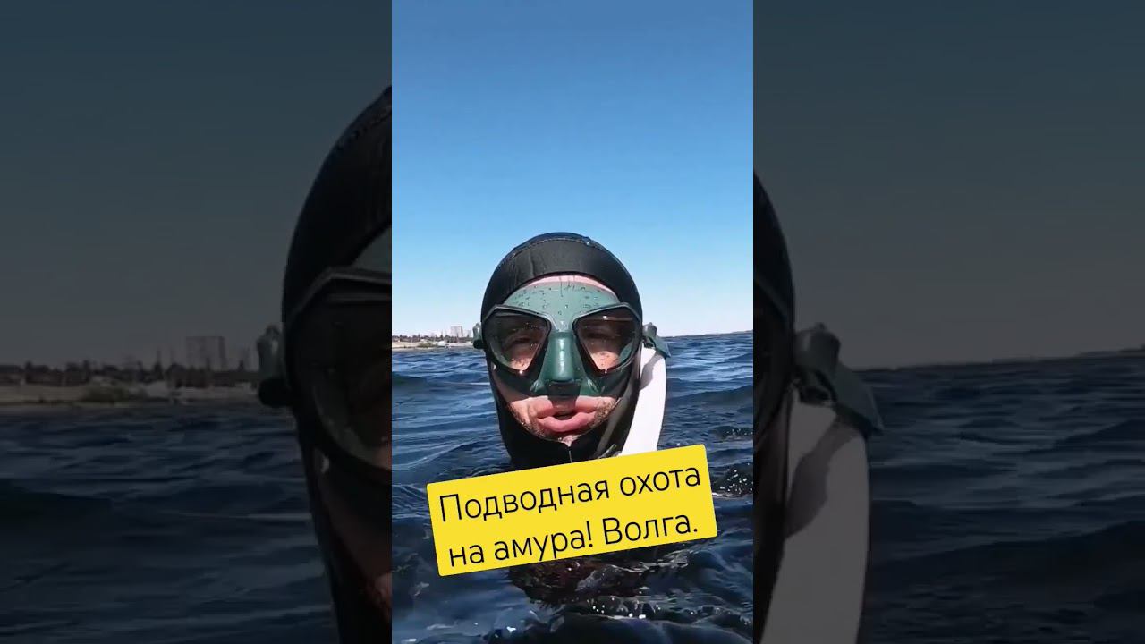 Подводная охота на белого амура. #белыйамур #волга  #обучениеподводнойохоте #подводнаяохота