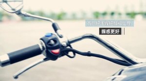 LIFAN V16 (LF250-D) cruiser commercial (Chinese)