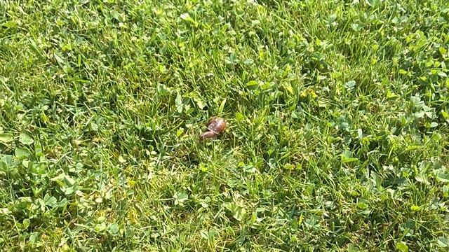 Ползём дальше.... смотреть онлайн