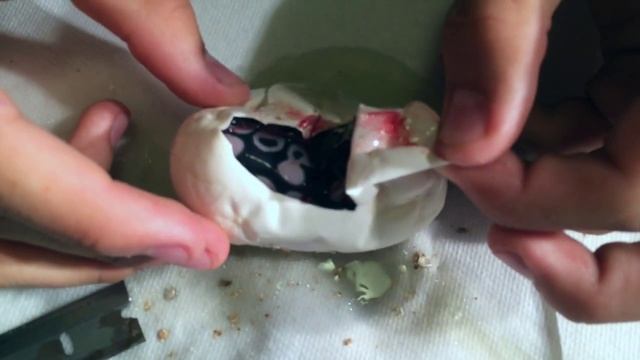 Ball Python Egg Cutting #1: Pastel Clown x Normal смотреть онлайн
