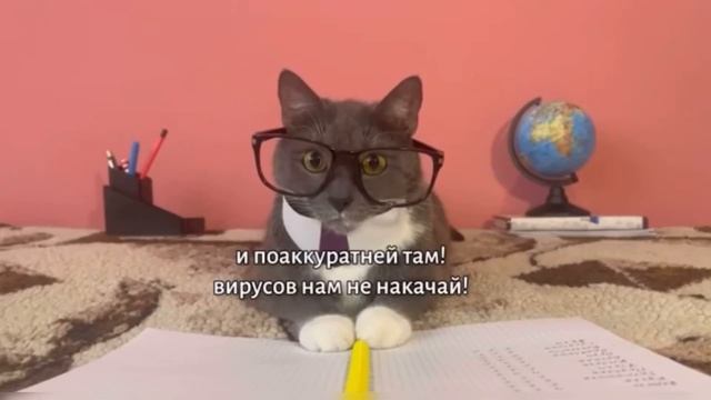 Канал котинет изображение 120