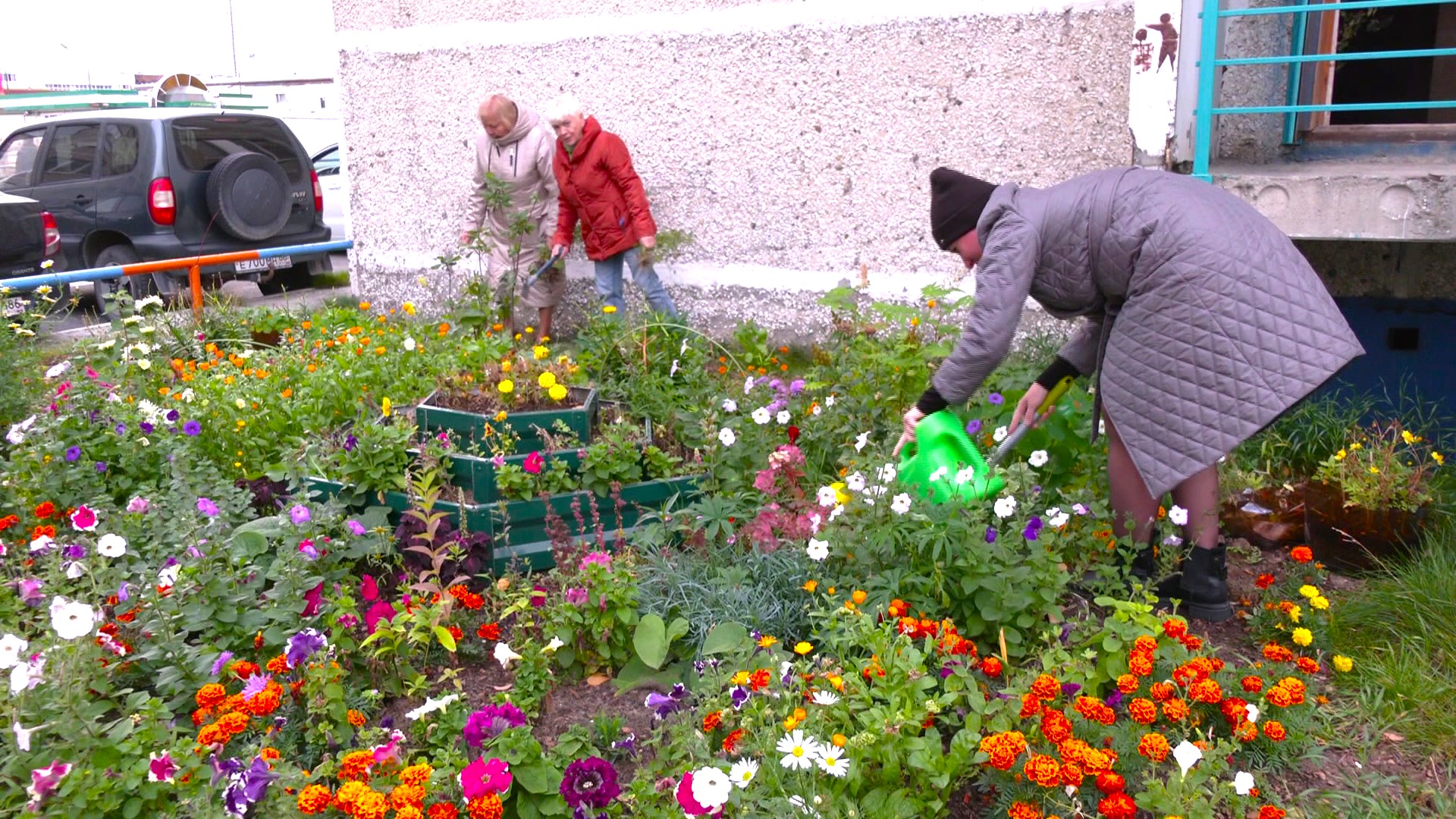 Сургутяне украшают дворы цветами