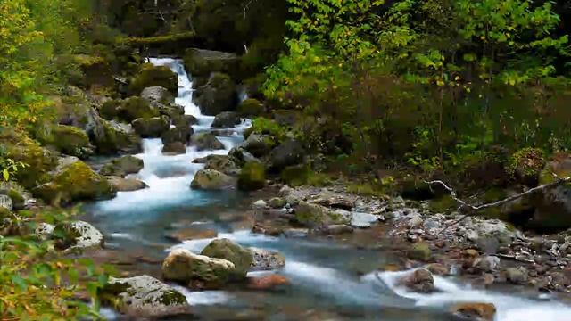 Фантазия Лесной ручей смотреть онлайн