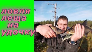 Рыбалка на леща. Ловля леща на поплавочную удочку.