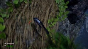 Симулятор Летающей Белки Поссум-Летяга #3 Самый большой паук в AWAY The Survival Series на пурумчат