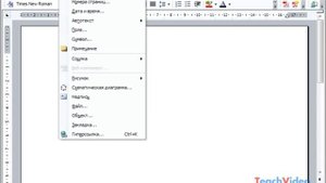 Строка меню в Microsoft Word 2003 (2/49)