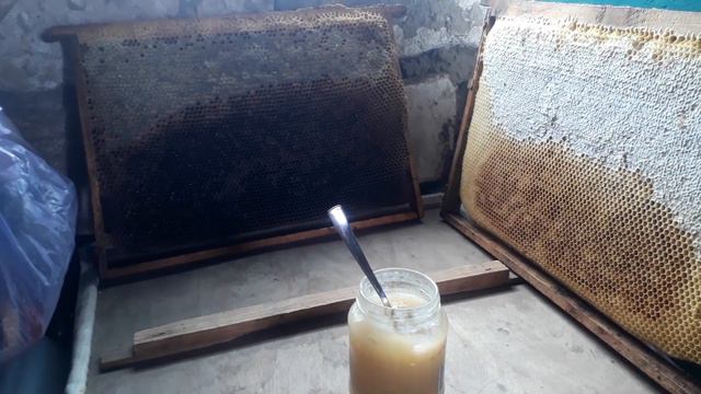 Пчеловодство, все о Мёде! 🍯🐝 смотреть онлайн