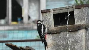 5-8 06 2022г обзор участка