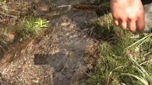 КЛАД!!! Горшочка было два! #265