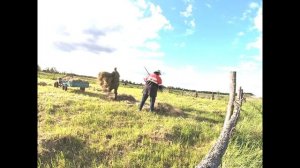 Мотоблок в хозяйстве. Большой помощник!