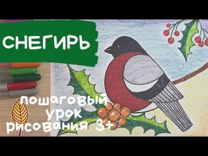 Снегирь рисунок. Снегирь рисунок для детей. Как нарисовать снегиря. Птица рисунок для детей