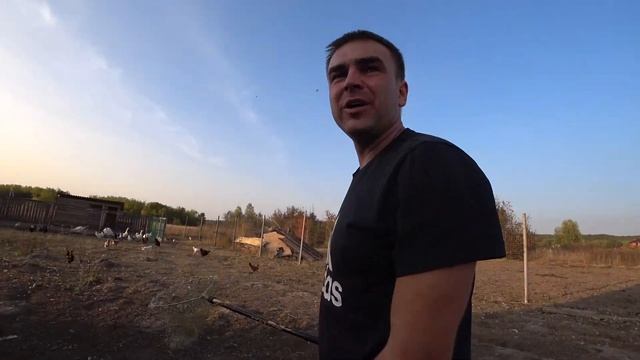 ВЕС ДОМАШНЕЙ ГОЛОШЕЙКИ В 4 МЕСЯЦА