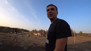ВЕС ДОМАШНЕЙ ГОЛОШЕЙКИ В 4 МЕСЯЦА