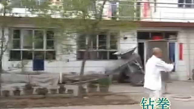 Song Shi Xingyi Quan/Сун Ши Синъи Цюань. Gao Quanyi (宋氏形意拳. 高全义)