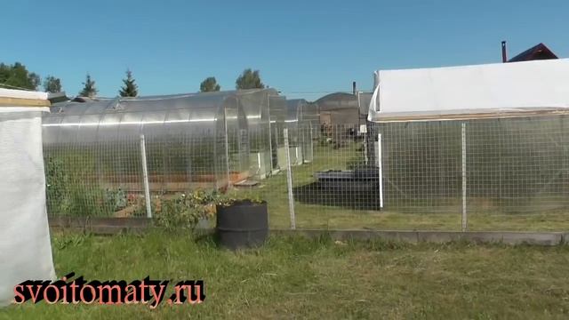 Обзор нашего огорода (Ивановская обл. – средняя полоса России) смотреть онлайн