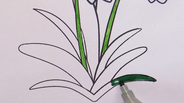 Раскраска Маркерами Подснежники смотреть онлайн