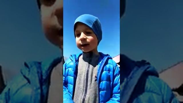 Насекомые которые живут у меня во дворе. смотреть онлайн