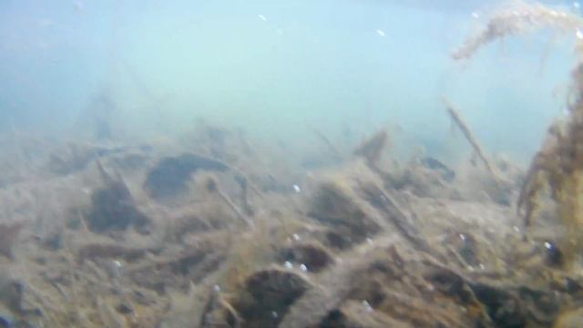 Погружение в воду. Кузьминский пруд смотреть онлайн