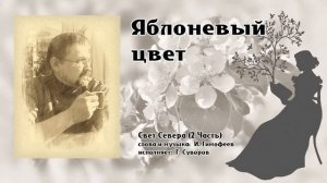 Яблоневый цвет