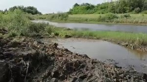 Неизвестные захватили пруд в деревне Кикино Рязанской области, чтобы сделать его платным
