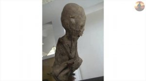 Эхнатон и удлинённые черепа древних. [Брайен Фоерстер]