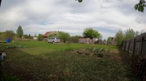 Одинь дачный день