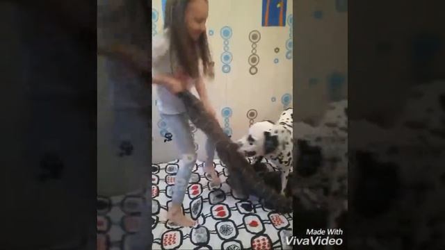 Короче говоря шведская стенка смотреть онлайн