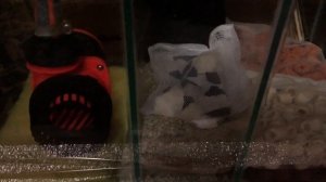 Фильтрация в аквариуме