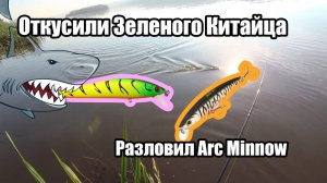 Воблеры на ОКЕ. Черта города! Одна из лучших рыбалок сезона!